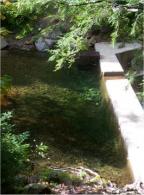 Dam and Swimhole