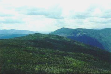 Mt. Webster