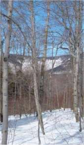 Whiteface Bowl - Click to Enlarge