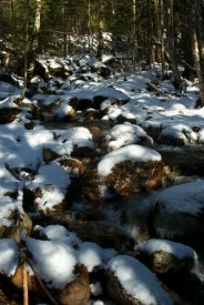 Abenaki Brook