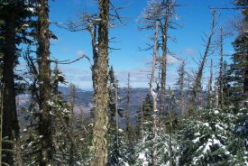 View from the Crawford Path