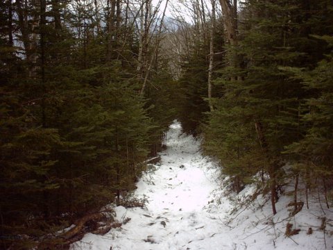 Mt. Tecumseh Hike