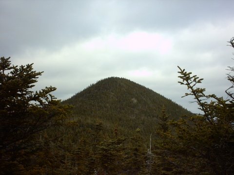 Mt. Tecumseh Hike