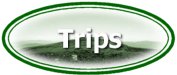 Trips in NH